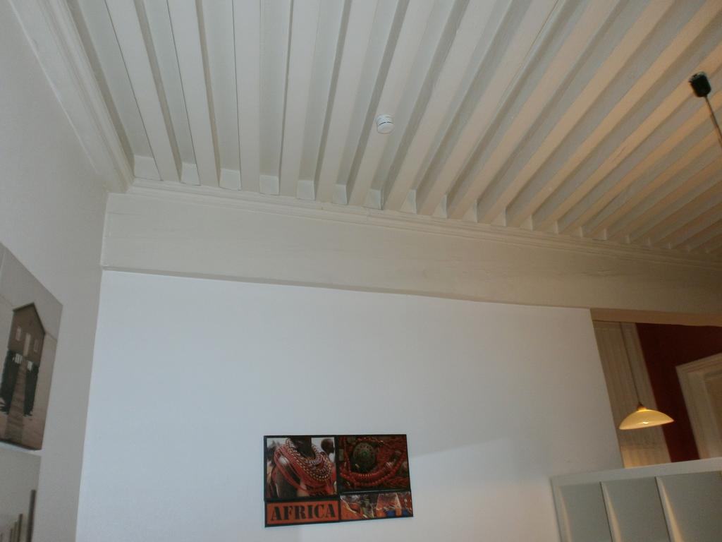 Gite L'Outarde Lyon Ruang foto
