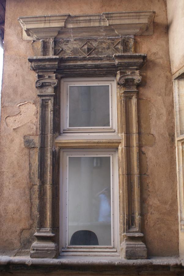 Gite L'Outarde Lyon Ruang foto